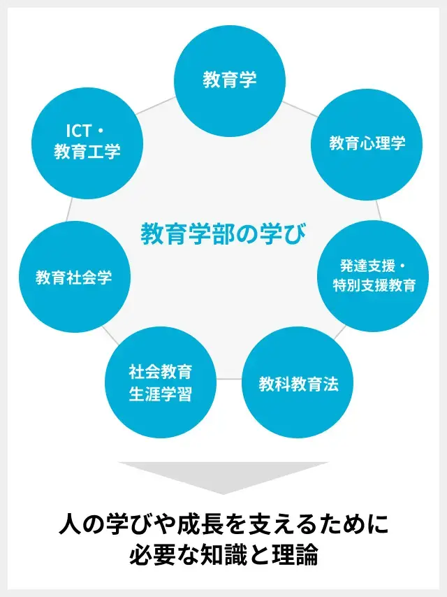 教育学部で学ぶ内容の図