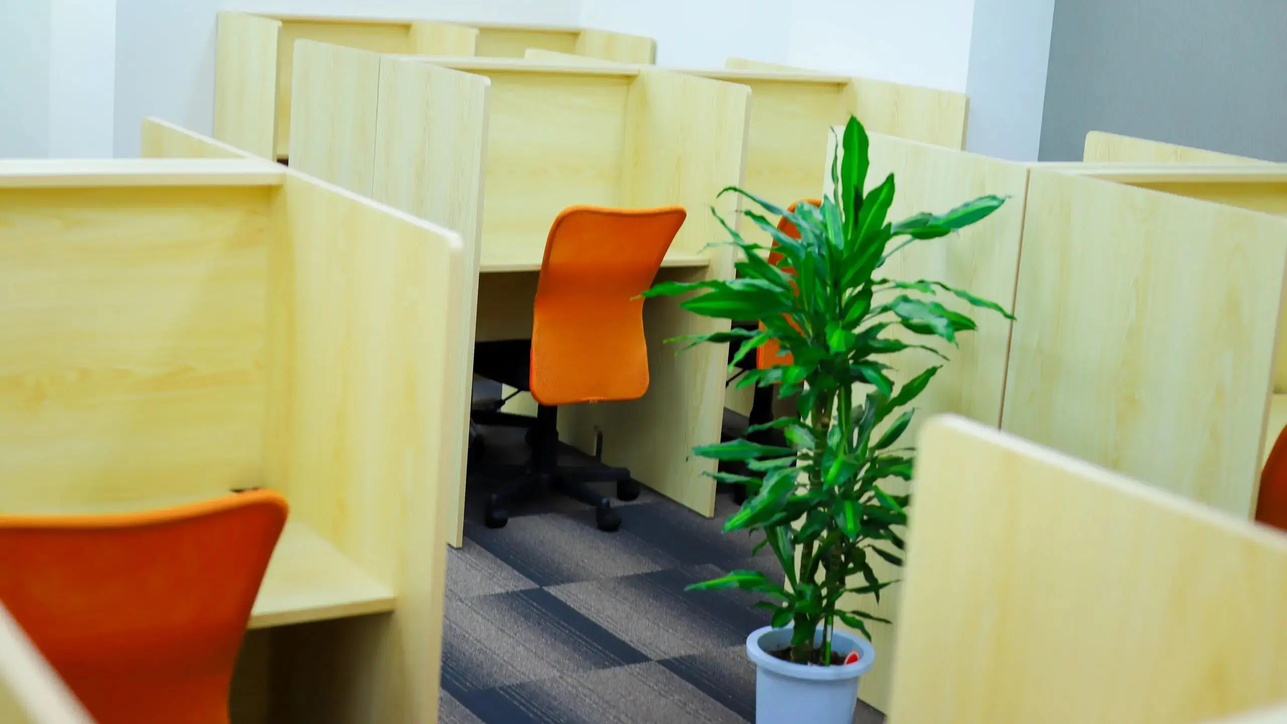 254 アクシブアカデミー 一社校 教室の様子(1)