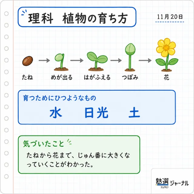記事内アイキャッチ・画像 (3)