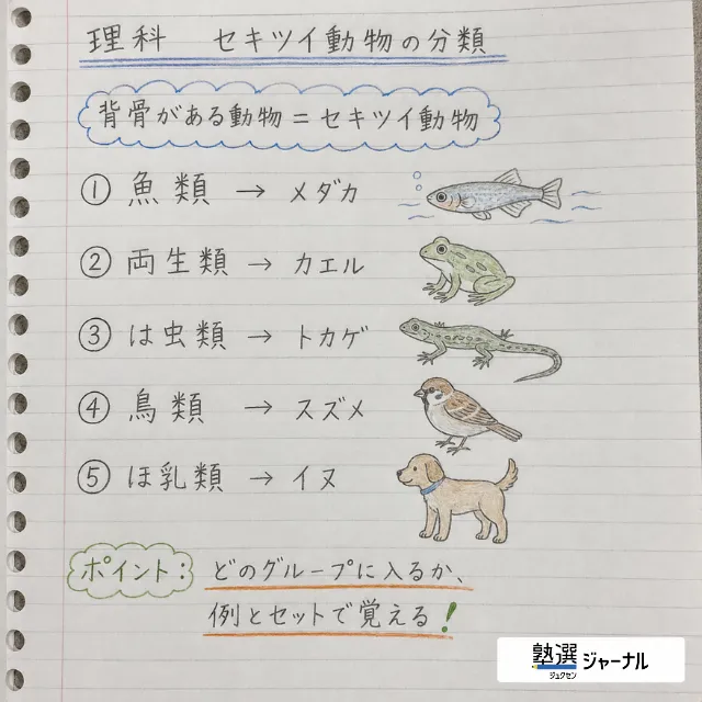 中1理科5分