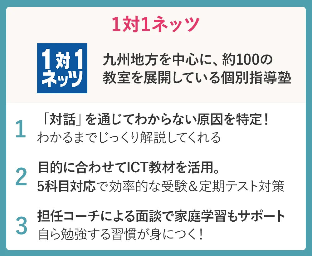 1 1netz Logo2