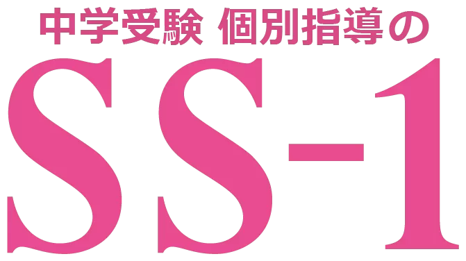 Ss1 Logo