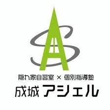 Seijyoashel Logo