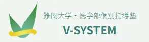Vsystem Logo