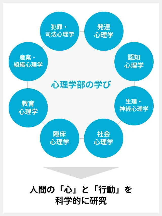 心理学部で学ぶ内容の図