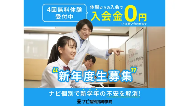 19 ナビ個別 Cam 260224up