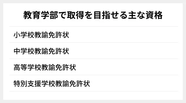 教育学部で取得を目指せる主な資格の図