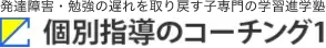 Coaching1 Logo