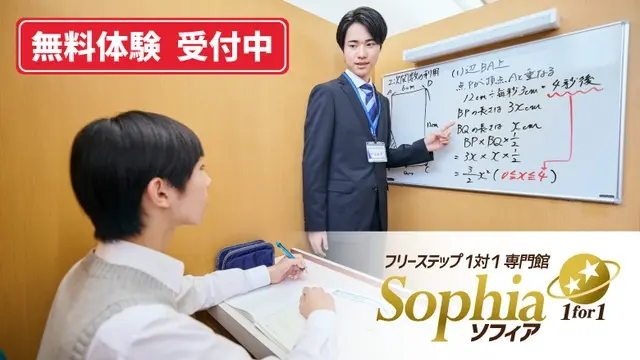 218 フリーステップ１対１専門館ソフィア Top1差替