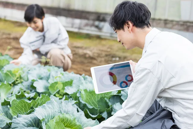 農学部卒業生の就職事情