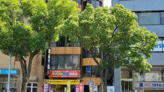 Orig 西新 2551 Swimmy 福岡西新校 1