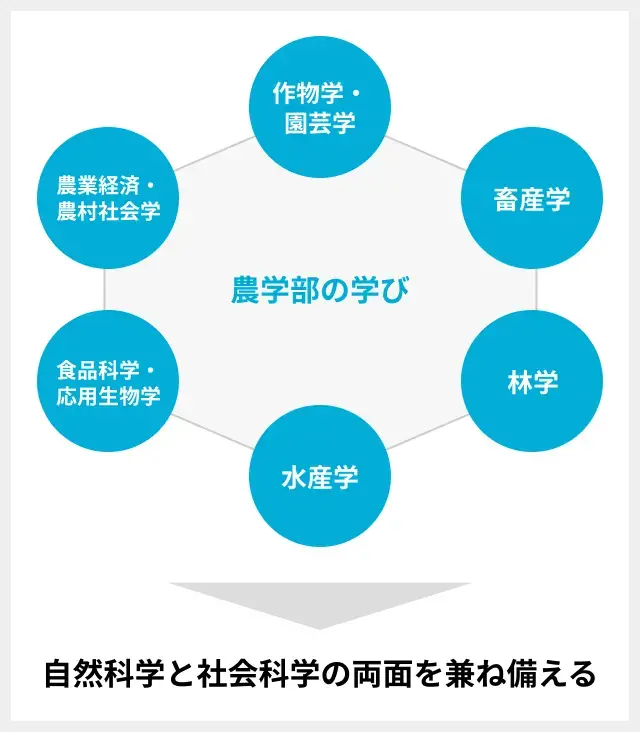 農学部で学ぶ内容の図
