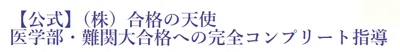 Goukakunotenshi Logo