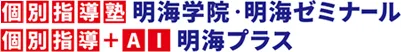 Mekai Logo