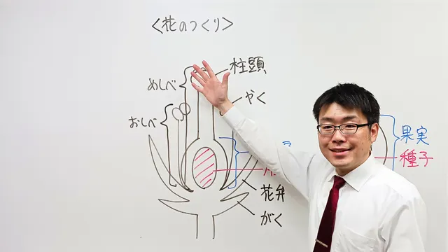 2214 函館練成会 Top差替1