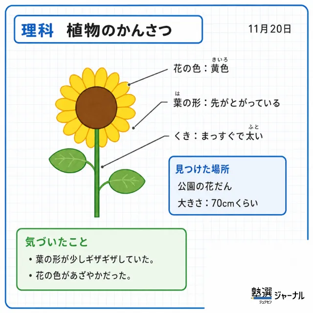 記事内アイキャッチ・画像 (4)