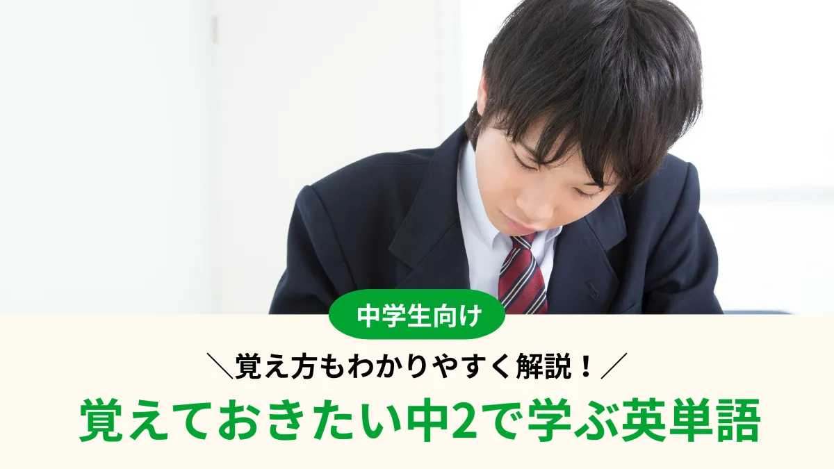 【中2英語】英単語一覧と覚え方をわかりやすく解説！不規則動詞もまとめて確認