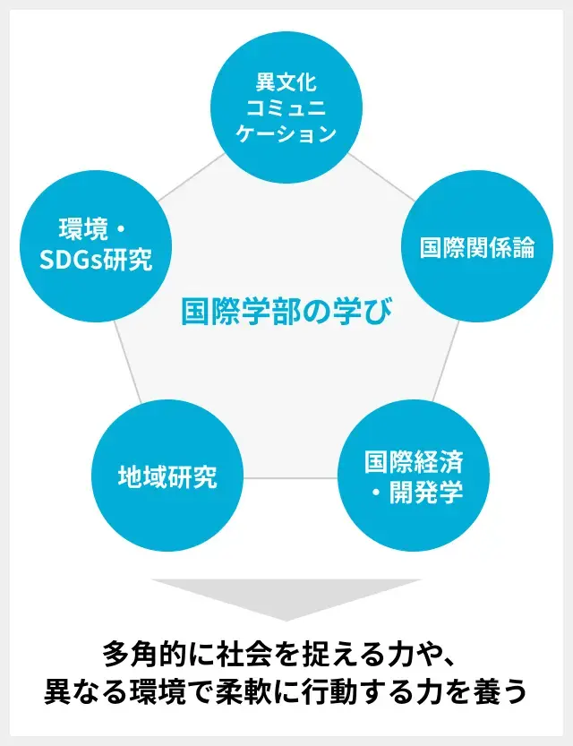 国際学部で学ぶ内容の図
