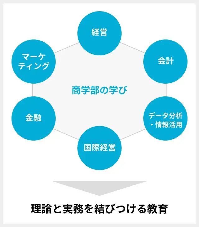 商学部の学びの内容