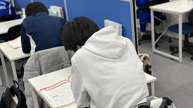 9243 アップルート Top 3