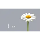 9205 個別指導academy Ｉam Logo