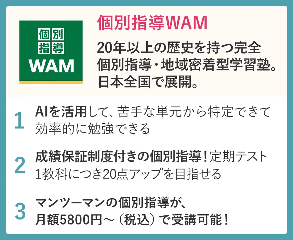 個別指導WAM