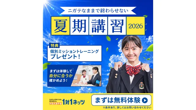 37 1対1ネッツ Cam 260726up 