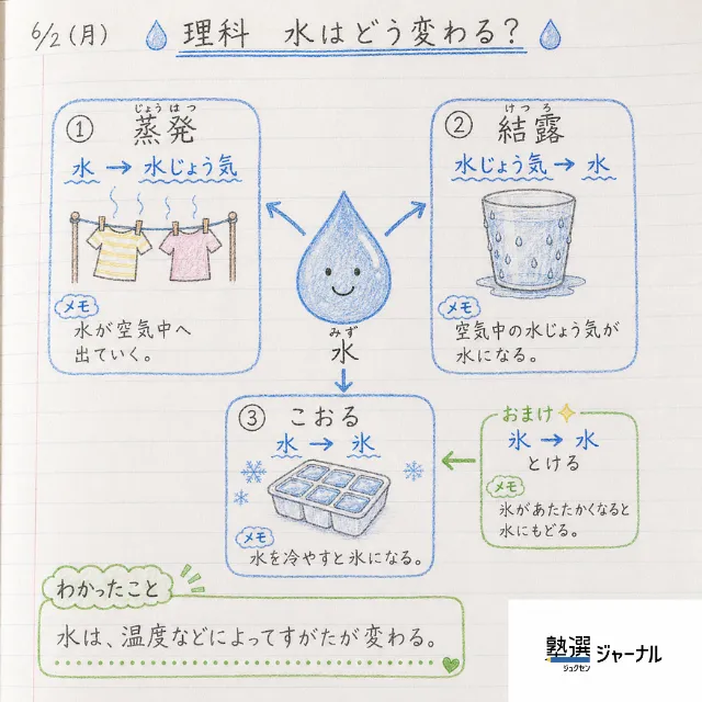 小4理科5分