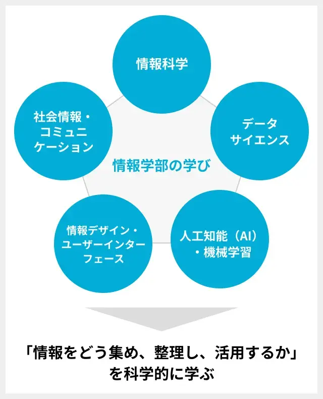 情報学部で学ぶ内容の図
