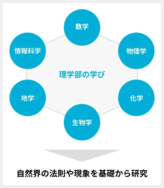 理学部で学ぶ内容