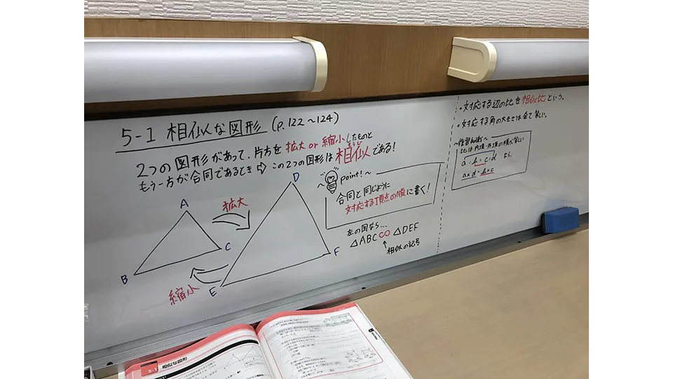 1588 Tip個別指導 ブランドトップ 6